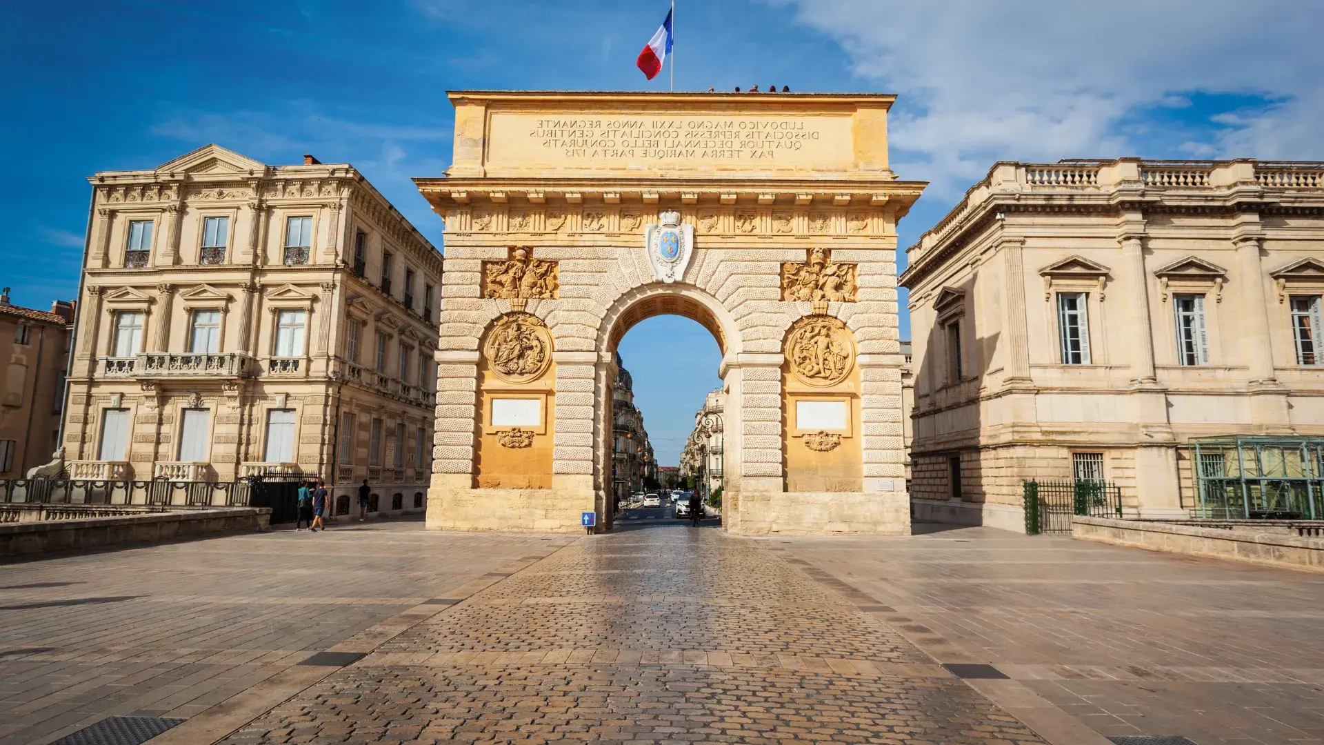 Terrassement expert pour particuliers et professionnels à Montpellier et alentours - ELMAR TP