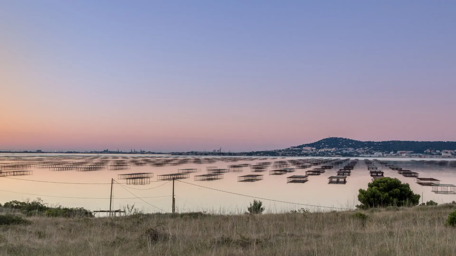 Aménagement de terrain et terrassement aux environs de Sète et Bouzigues - ELMAR TP